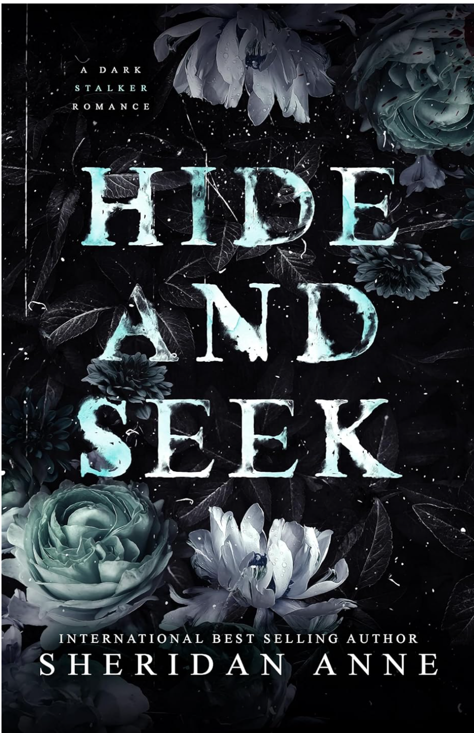 Review: Hide and Seek by Sheridan Anne